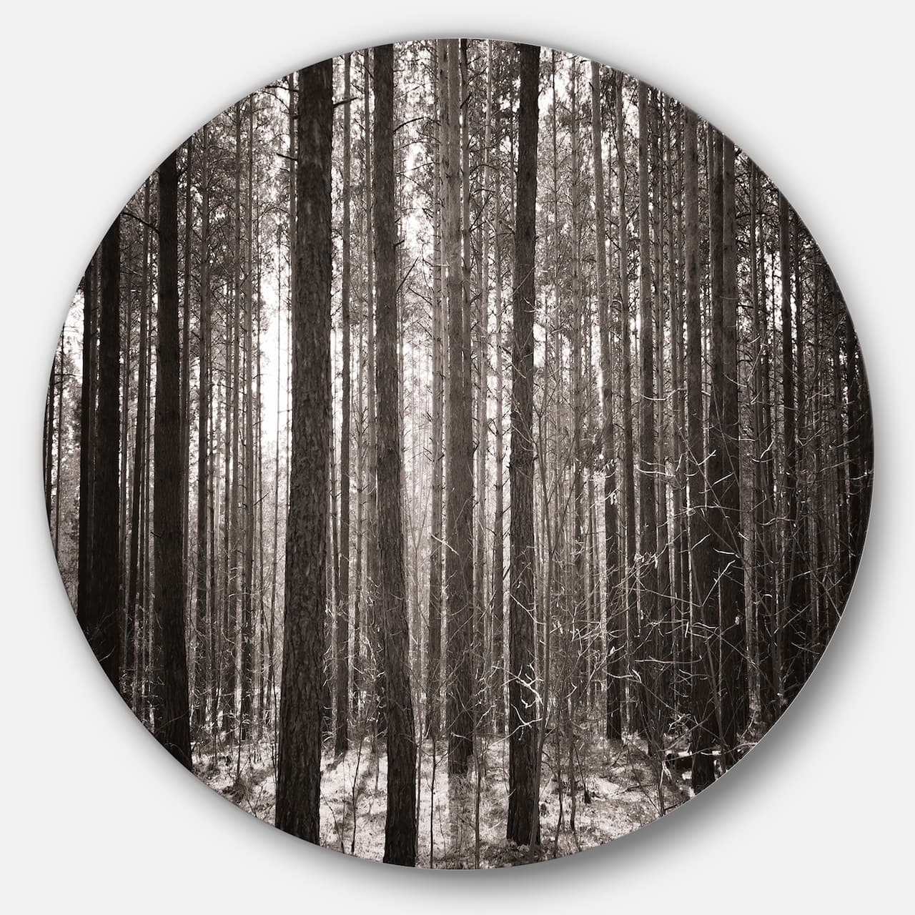 Designart - Beautiful Misty Forest in the Autumn' Disc Forest Metal Circle Wall Art